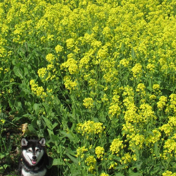 2ef0eda4 3442 49a3 8f78 284c7a51e322 1617853144298