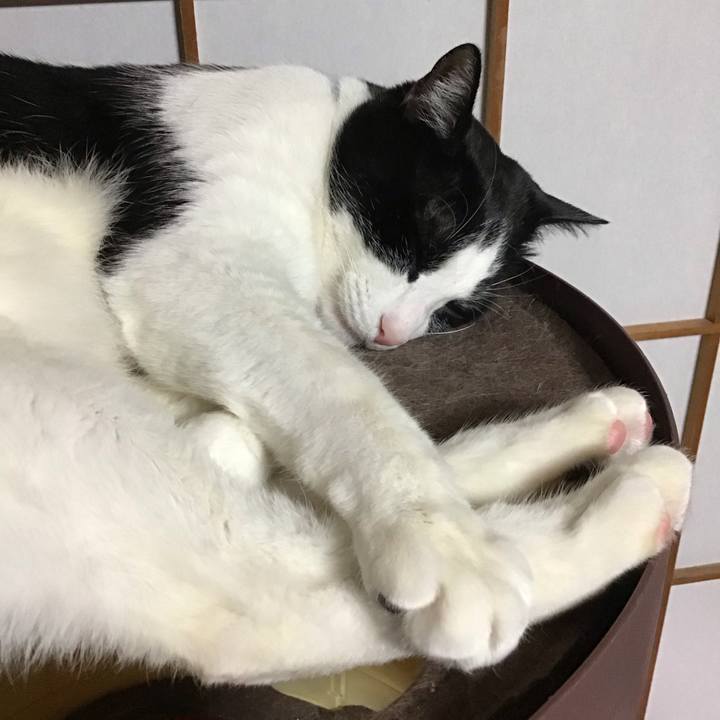 2ef11cfc 0f66 47ad 9fb6 9981f3867651 1737109291176