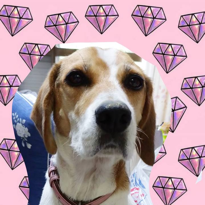 2ef1697f de8c 401f 811e f7f1008b3b3c 1599204717127