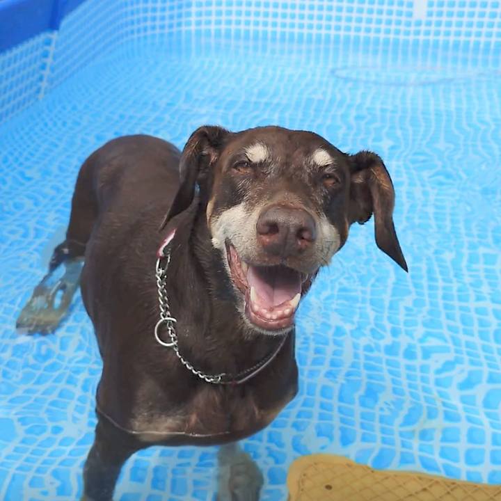 2ef19c95 d2ce 4e5d bd22 4ad95267b733 1764125086994