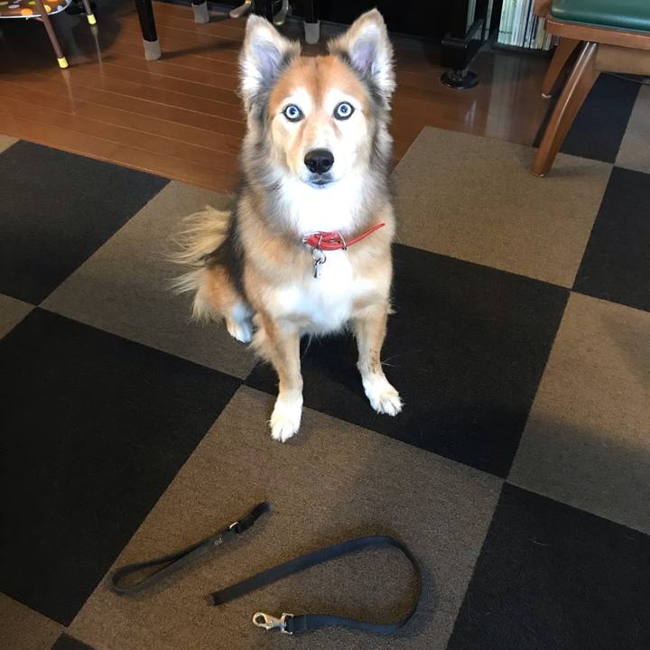 2ef1dd93 665b 4acf 96c2 25558c970cc2 1597635897445