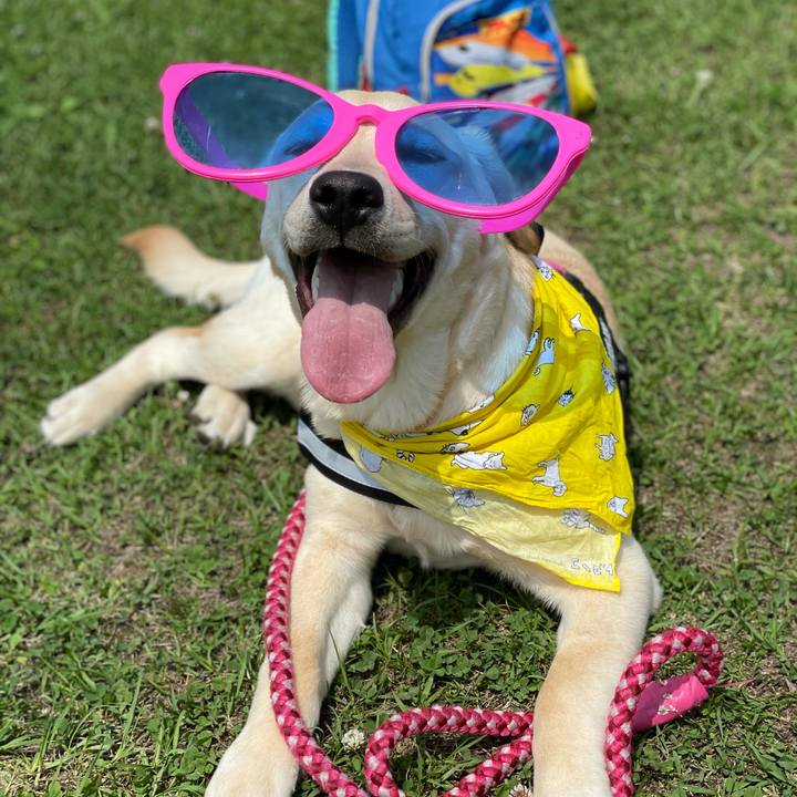 2ef20646 9742 484f 96ab 8cd23bde91cb 1621927491511