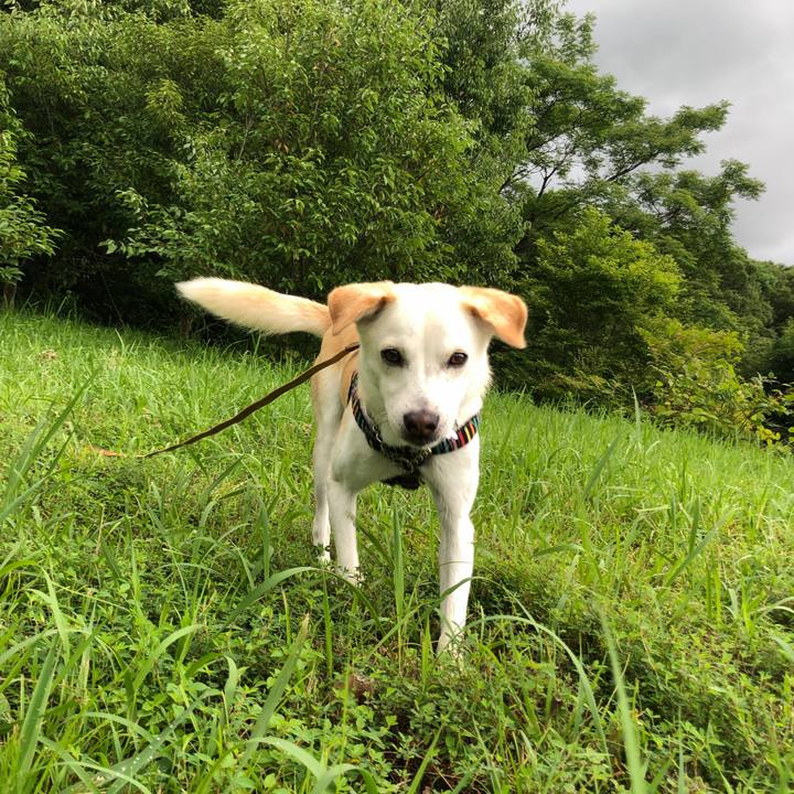 2ef22382 0d91 4068 863c daf9e42b8032 1630625206910