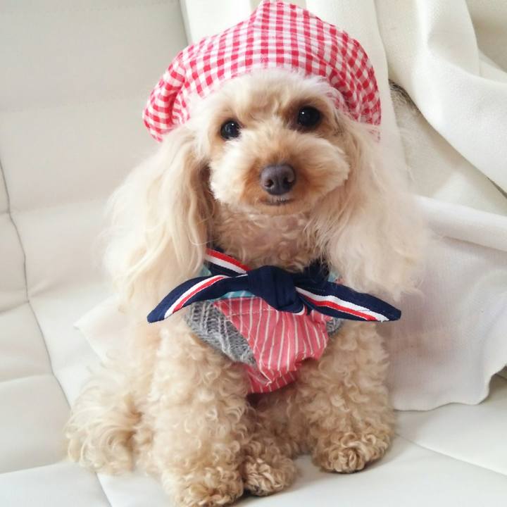 2ef2320d af18 4ab6 b014 06c34948f3c0 1515734324349