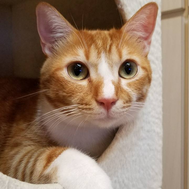 2ef26b36 eca5 4257 96c6 2b5da4d62a17 1509024188794