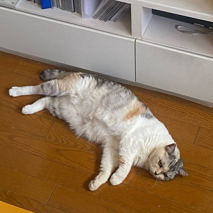 2ef2816b f6f0 49a0 9879 2ad2e66e1b83 1689555812391