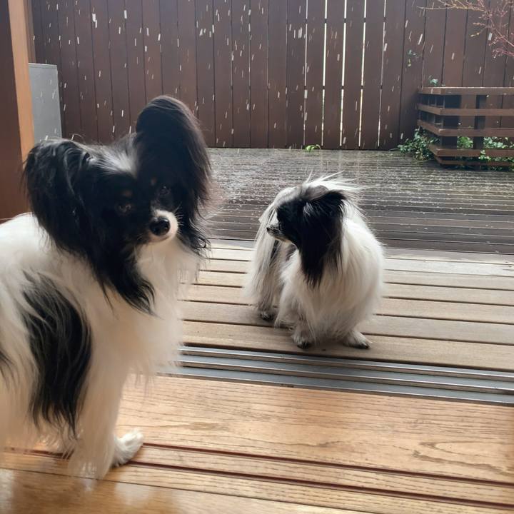 2ef29ccc d942 4330 9c3f bca0415241db 1584166241890