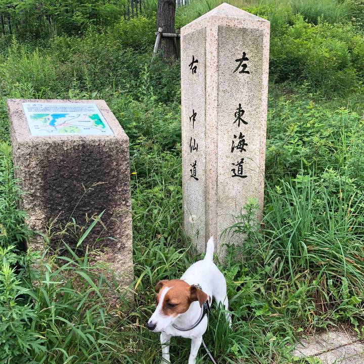 2ef2a458 dc96 48f2 8db7 741a9c9e6846 1539651720329