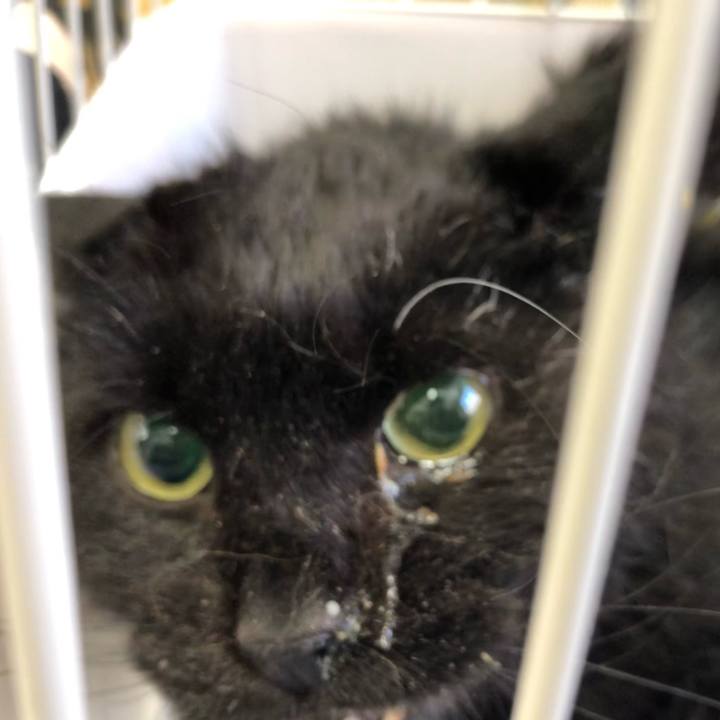 2ef2ad50 664f 4f5c 9ee4 49f7e4ac06a7 1644029817559