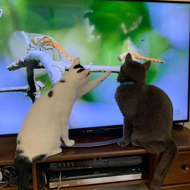 2ef30be2 8bc9 41dd a452 d0cc3b658e95 1605395250215