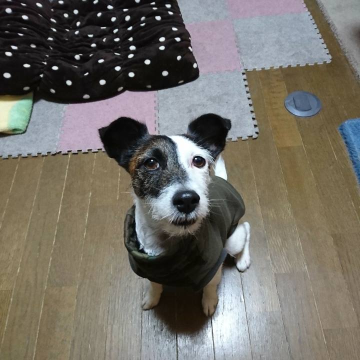 2ef30d3a 840f 42b3 8465 fdf60461548a 1514373640985