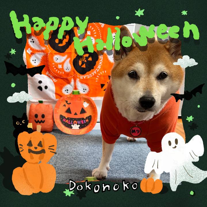 2ef314ff 565d 481c b16b bd43f6bd8786 1730341628720