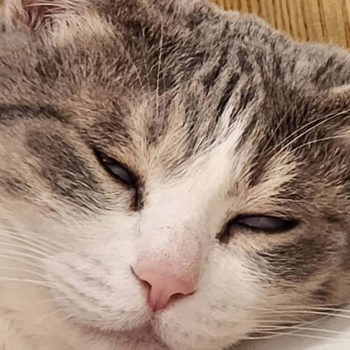 2ef35fc8 5ca5 4ac6 8a31 0b4696001c86 1713231907205