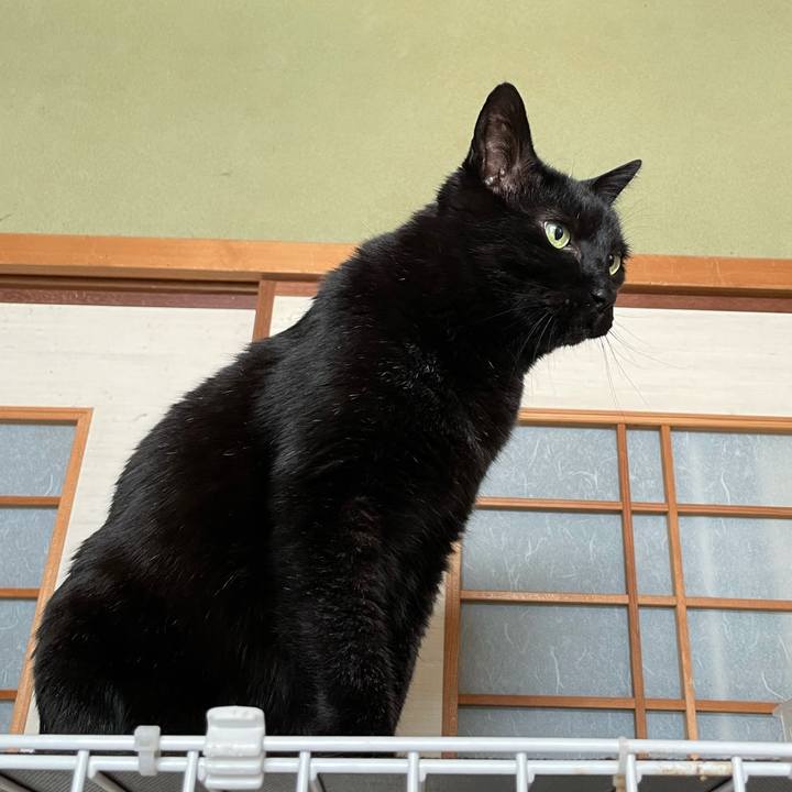 2ef3b8ed 02b9 4fe6 be4b 926a5368d423 1620787028534