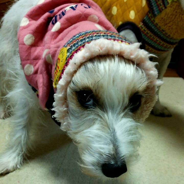 2ef3da89 5587 4476 82aa 24f3d0d75ab1 1511091324231