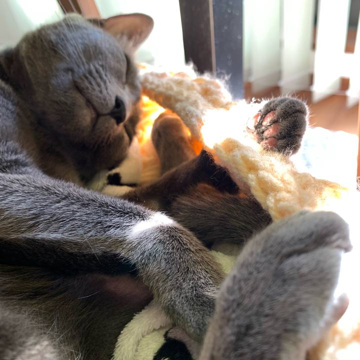 2ef3e143 1d2e 4963 b886 fd083de85b57 1641800261620