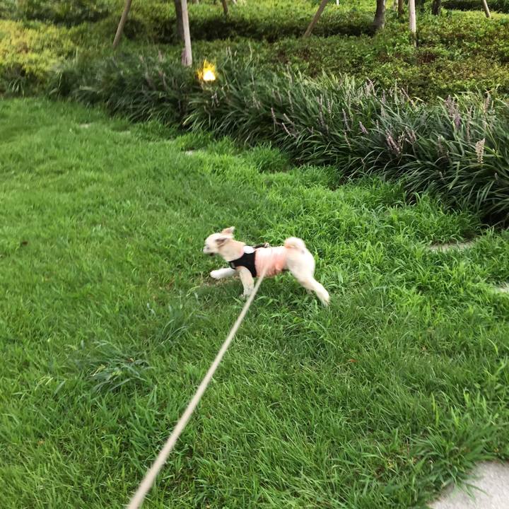 2ef3ed3b 710c 45ee be16 0b286503e9cc 1534413920380