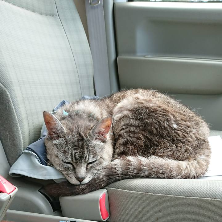 2ef42e9c df3c 4e4b 9fb3 2b0d872fae2f 1567305066904