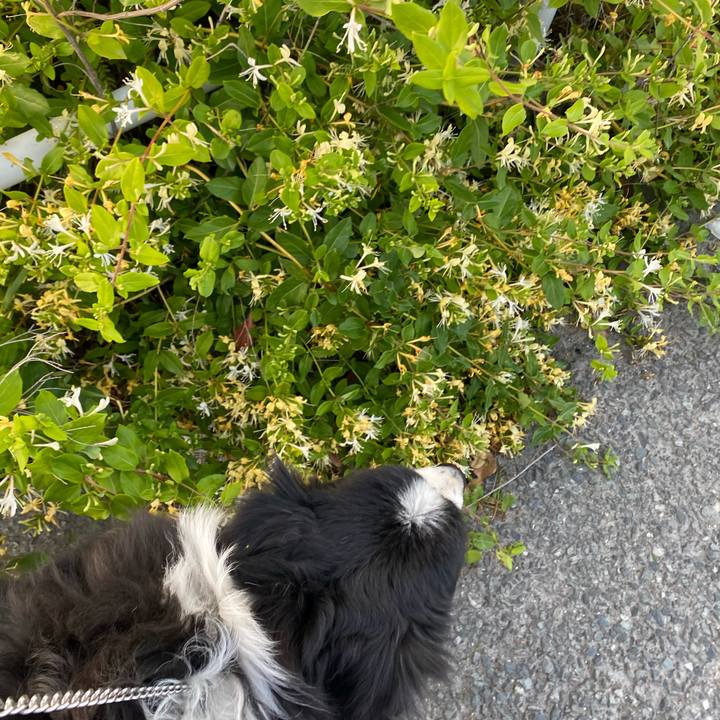 2ef45c3e 4746 4c5e bf4c eaa0f47ffd65 1619781910563