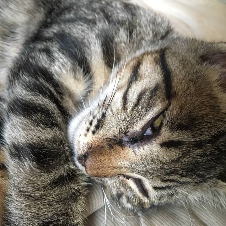 2ef4902f 0fd7 4283 91a7 487239131a03 1536766404830