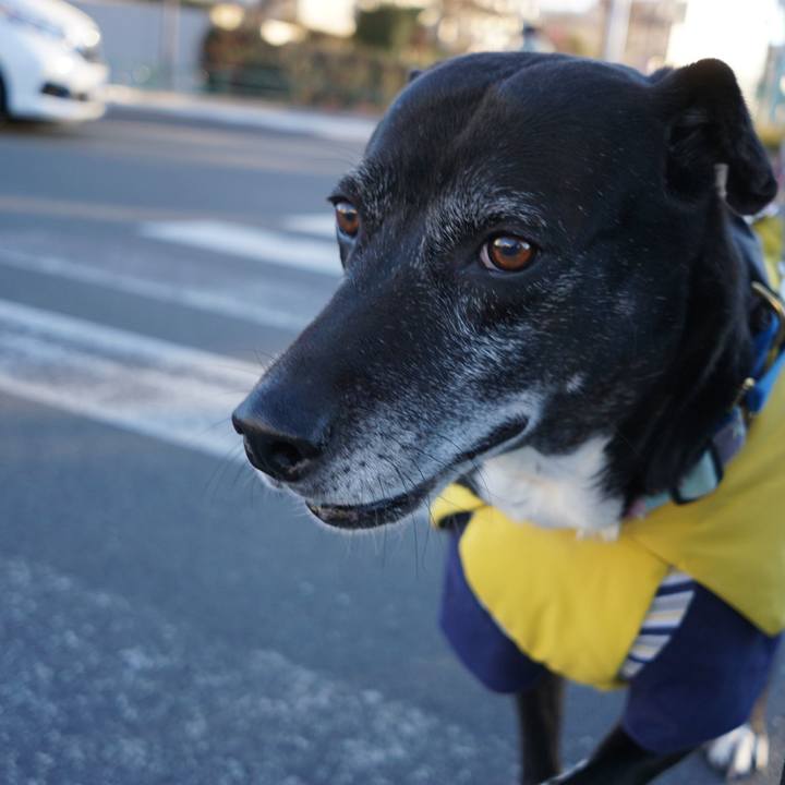 2ef4967a 847f 4544 bb97 3d2485dc2015 1766882726702