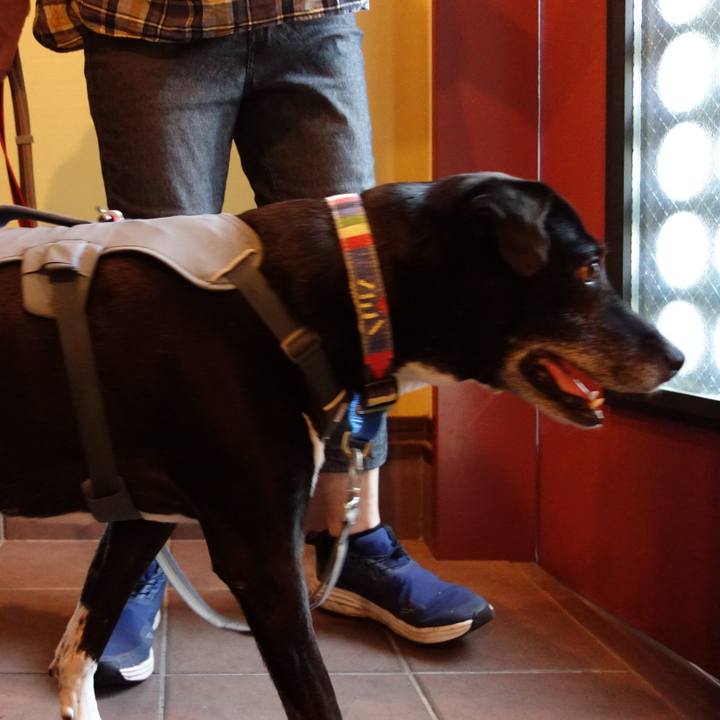 2ef49fe8 6926 4b00 9e2d 815be88c5430 1724627932984