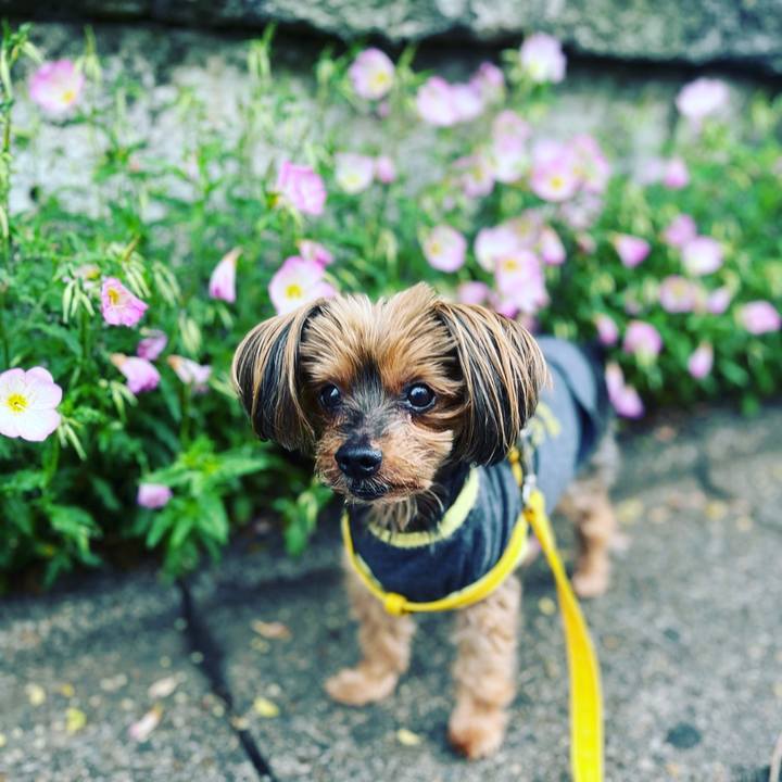 2ef4abdb 4b19 459c a217 989b669afa0d 1684037954584