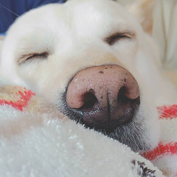 2ef4dfac 6b8c 468b bbfe dc4582152a2c 1523538572123