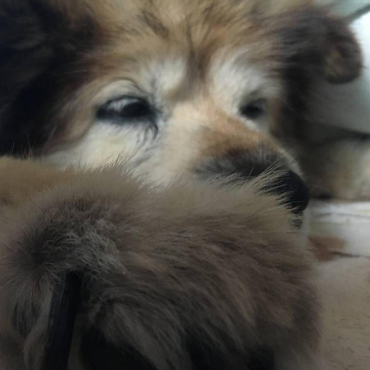 2ef52435 8409 44f6 994e 80e57dca9102 1571980492078