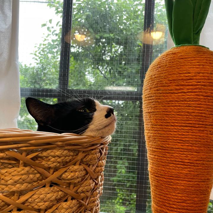 2ef531d0 02a9 4e7e 94c7 2a7529f805d4 1716156213519