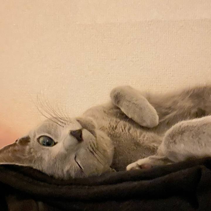 2ef5531e ca2b 40bf a958 5af9432c1d74 1619955232302