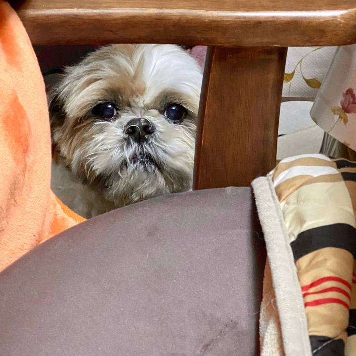 2ef56365 2590 444b 927a 346bddd49869 1608119497849