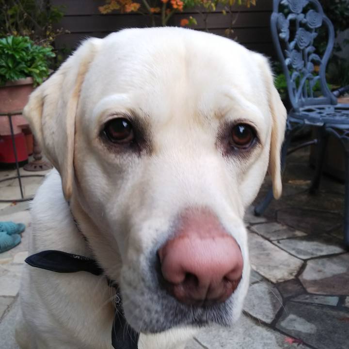 2ef5a3fc db42 41d1 9301 ca9469c0b15e 1575962432272