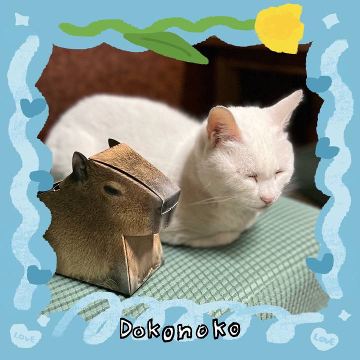 2ef5e37d 1244 429b 8e79 0a6ffb8d0326 1772365594247