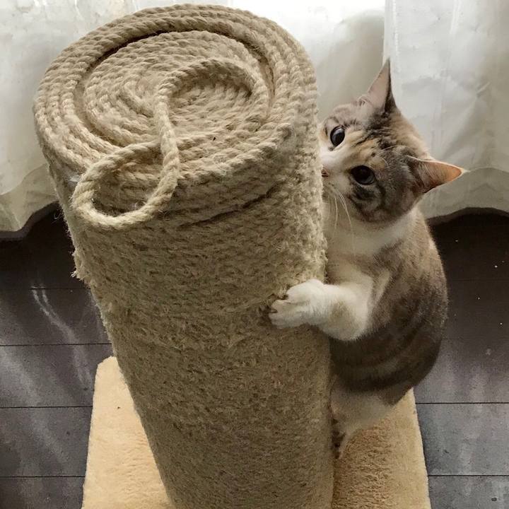 2ef6279d 9ea6 47e7 9883 950209c0ae3f 1550751412135