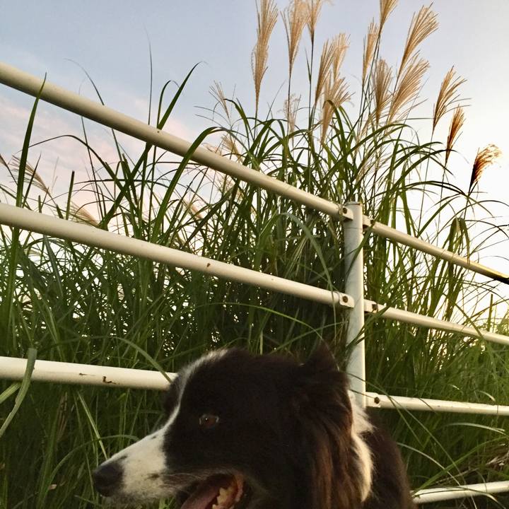 2ef63ec0 4c46 4f7d 8ea1 1192f9d24c95 1568887353232