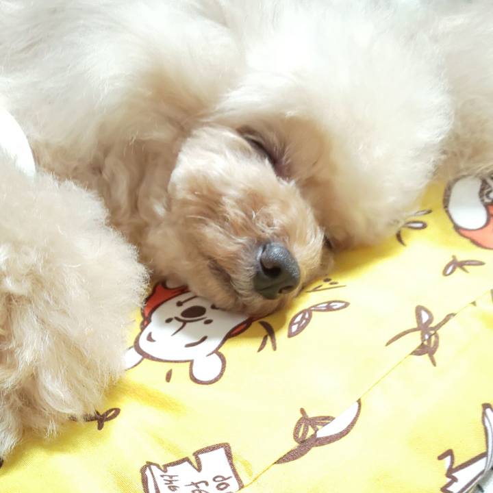 2ef6480e 0451 4e00 9f36 f3ea13454346 1592610487978