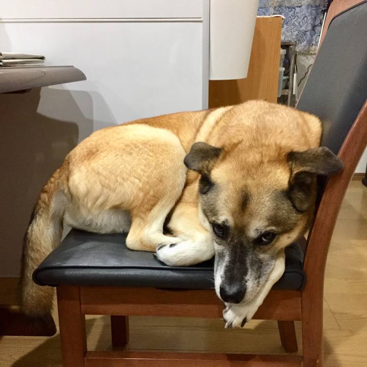 2ef66015 3b3c 4080 b8b8 95c1a8cc1f89 1536490687611