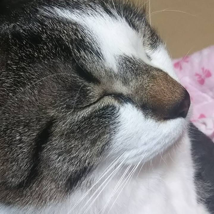 2ef68ebe b9d4 4518 b43b b84868a42a5f 1610025746828