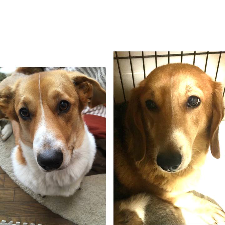 2ef6a678 71a8 4823 95d1 55918792e78d 1616236349477