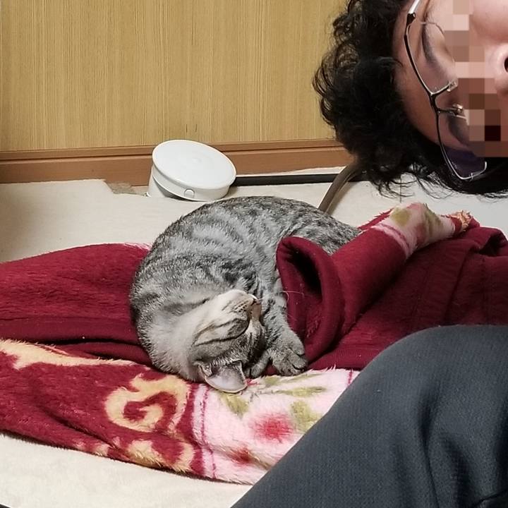 2ef6b62d 4ced 4fc4 b0a7 7933a723c509 1667736624731