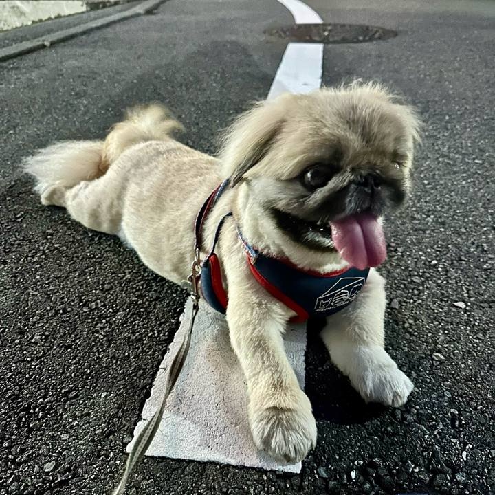 2ef6b697 b0f1 43c5 80f8 66435e4e25c6 1724017818627