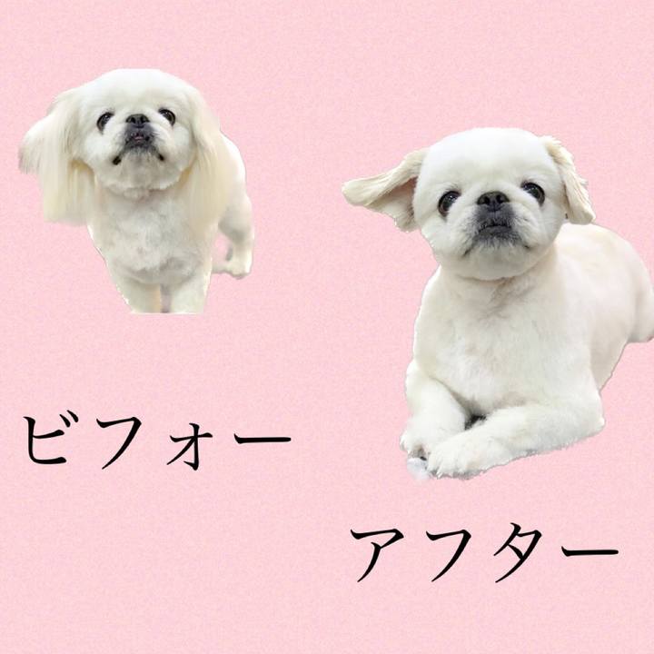 2ef6bb8a 59ff 468b be4f 95afbd5071d4 1707644307526