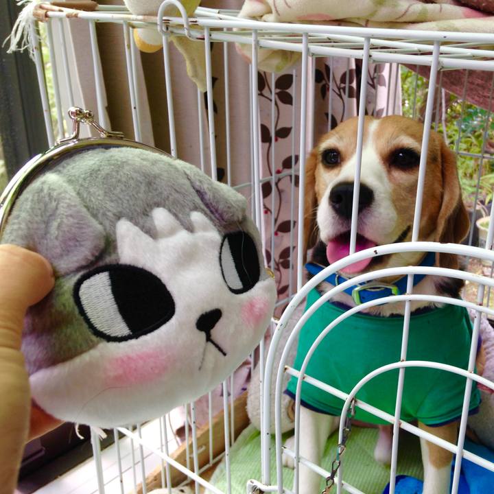 2ef6e2d2 4cf4 4468 a501 115d621e0ede 1727654136370