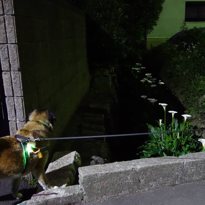 2ef6ee8c 4369 4a31 83f1 4ef87383599f 1525345825499