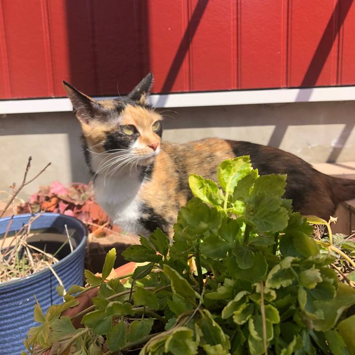 2ef74c64 8604 45aa b654 551a3407d4cc 1616036231394