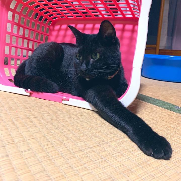 2ef76891 d4da 4dc7 93bf af31b4a5eee6 1571749085552