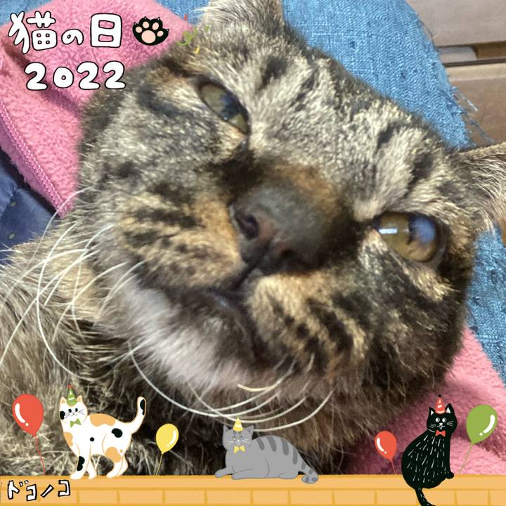 2ef77cf4 e762 45cc a1db 3b651c602861 1645497376727