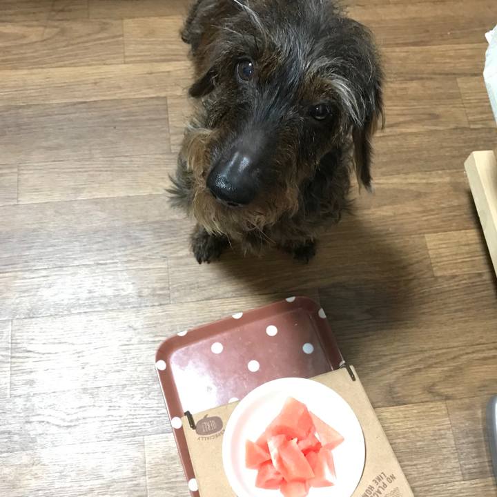 2ef7c05d f01b 46b6 9a65 e10c708b3c98 1558709455667