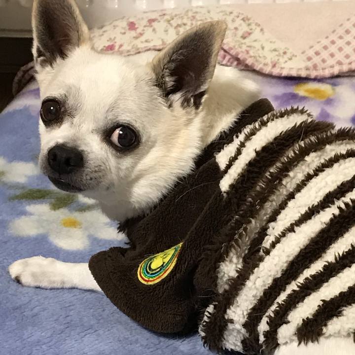 2ef81322 5078 4f98 a5d7 1deb75d243d2 1644218607689